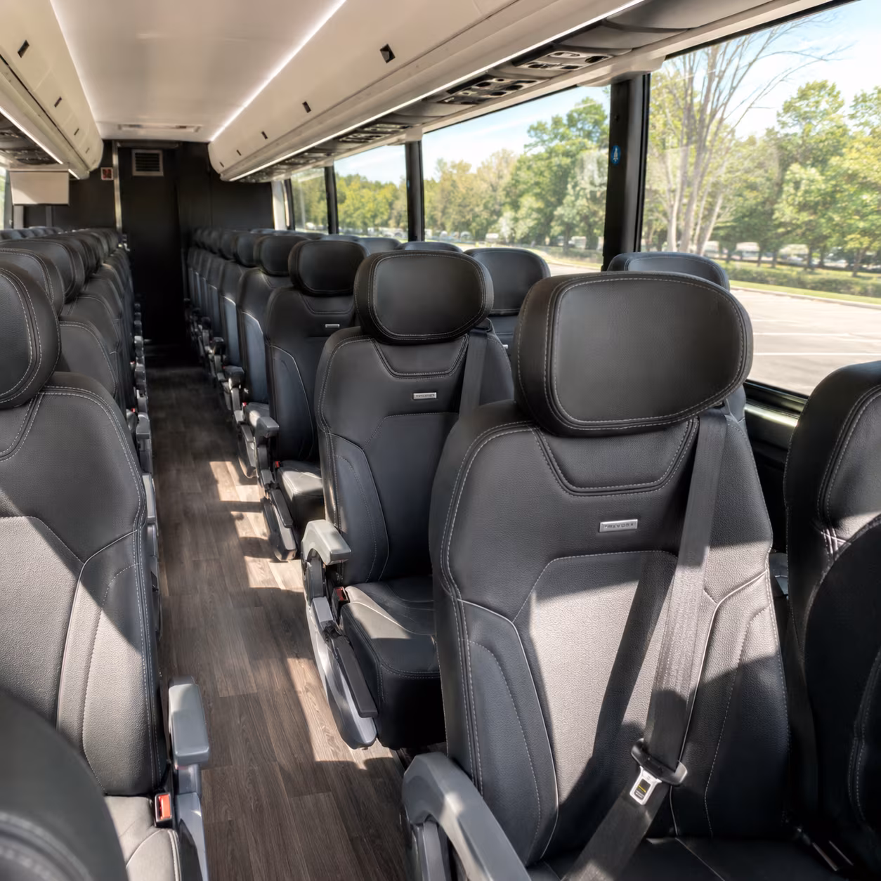 secure transportation for your next birthday 2